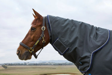 Weatherbeeta Comfitec Ultra Turnout Detach-A-Neck 100G Charcoal| Online For Equine