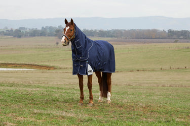 Weatherbeeta Comfitec Ultra Turnout Detach-A-Neck 100G Navy| Online For Equine