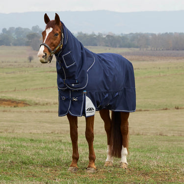 Weatherbeeta Comfitec Ultra Turnout Detach-A-Neck 220G| Online For Equine
