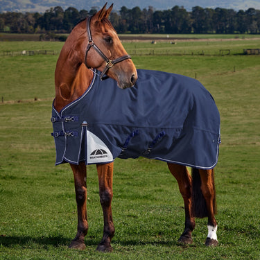 Weatherbeeta Comfitec Ultra Turnout Standard Neck 220G| Online For Equine