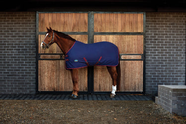 Weatherbeeta Cotton Sheet Standard Neck| Online For Equine