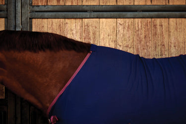 Weatherbeeta Cotton Sheet Standard Neck| Online For Equine