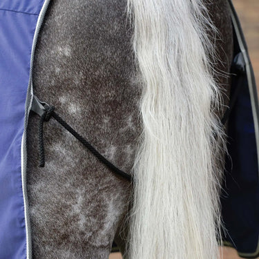 Buy Weatherbeeta Cotton Show Sheet With Surcingles II| Online for Equine