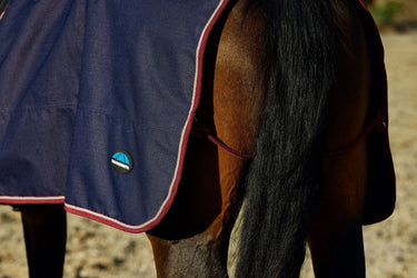 Weatherbeeta Essential Fleece Lined Quarter Sheet| Online For Equine
