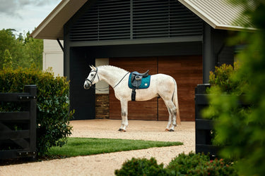 Weatherbeeta Forest Green Satin Luxe Air-Tec Dressage Saddle Pad| Online For Equine