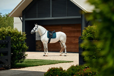 Weatherbeeta Forest Green Suede Elite Air-Tec Dressage Saddle Pad| Online For Equine