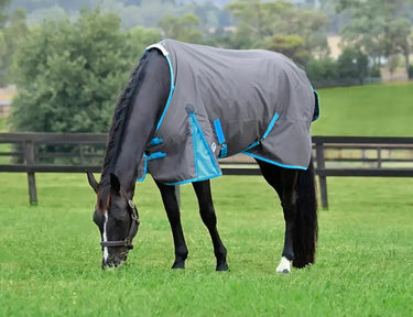 Weatherbeeta Grey/Bright Blue/White Comfitec Classic Standard Neck Lite Plus Turnout Rug| Online For Equine