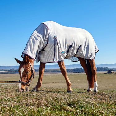 Weatherbeeta Grey/Navy/Burgundy Comfitec Airflow Fly Sheet Combo| Online For Equine