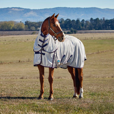 Weatherbeeta Grey/Navy/Burgundy Comfitec Airflow Fly Sheet Combo| Online For Equine