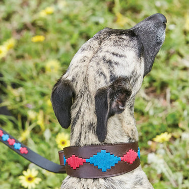 Weatherbeeta Lurcher Polo Leather Dog Collar Beaufort Brown/Purple/Teal| Online For Equine