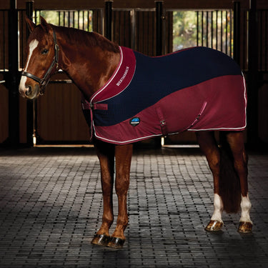 Weatherbeeta Navy / Burgundy Thermo-Air Cooler Standard Neck| Online For Equine
