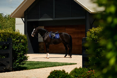 Weatherbeeta Navy Satin Luxe Air-Tec Euro Jump Saddle Pad| Online For Equine