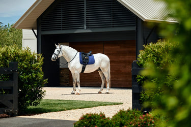 Weatherbeeta Navy Suede Elite Air-Tec Dressage Saddle Pad| Online For Equine