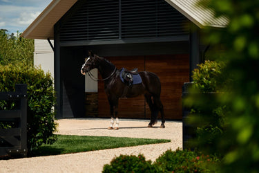 Weatherbeeta Navy Suede Elite Air-Tec Jump Saddle Pad| Online For Equine