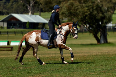 Weatherbeeta Navy Suede Elite Air-Tec Jump Saddle Pad| Online For Equine
