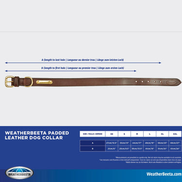 Buy Weatherbeeta Padded Leather Tan Dog Collar | Online for Equine