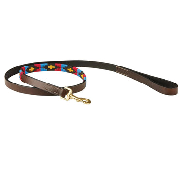 Buy Weatherbeeta Polo Leather Cowdray Brown/Pink/Blue/Yellow Dog Lead | Online for Equine
