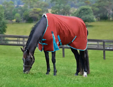 Weatherbeeta Red/Blue/Beige Comfitec Essential Standard Neck Lite Plus Turnout Rug| Online For Equine