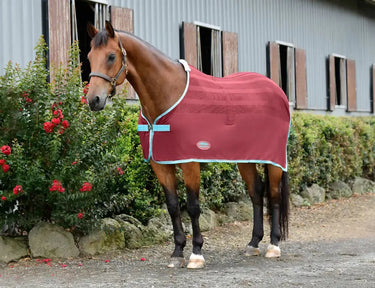 Weatherbeeta Red/Blue/Beige Scrim Cooler Standard Neck - 6'9"| Online For Equine