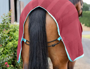 Weatherbeeta Red/Blue/Beige Scrim Cooler Standard Neck - 6'9"| Online For Equine