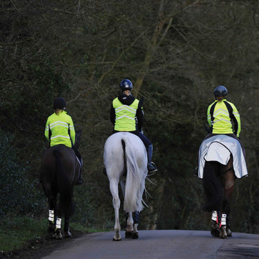 Weatherbeeta Reflective Wrap Around Exercise Sheet| Online For Equine