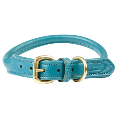 Buy Weatherbeeta Rolled Leather Teal Dog Collar | Online for Equine