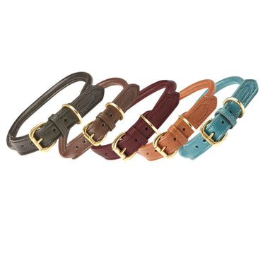 Buy Weatherbeeta Rolled Leather Teal Dog Collar | Online for Equine