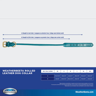 Buy Weatherbeeta Rolled Leather Teal Dog Collar | Online for Equine