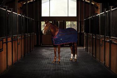 Weatherbeeta Scrim Cooler Standard Neck| Online For Equine