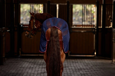 Weatherbeeta Scrim Cooler Standard Neck| Online For Equine