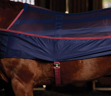 Weatherbeeta Scrim Cooler Standard Neck| Online For Equine