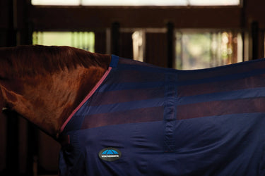 Weatherbeeta Scrim Cooler Standard Neck| Online For Equine