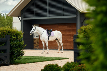Weatherbeeta Soft Lilac Suede Elite Air-Tec Dressage Saddle Pad| Online For Equine