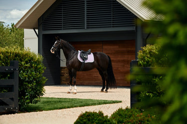 Weatherbeeta Soft Lilac Suede Elite Air-Tec  GP Saddle Pad| Online For Equine