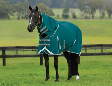 Weatherbeeta Teal Green/Stone/Teal Green Comfitec Plus Dynamic II Detach-A-Neck Lite Turnout Rug| Online For Equine
