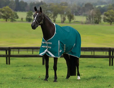 Weatherbeeta Teal Green/Stone/Teal Green Comfitec Plus Dynamic II Standard Neck Lite Turnout Rug| Online For Equine