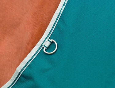 Weatherbeeta Teal Green/Stone/Teal Green Comfitec Plus Dynamic II Standard Neck Lite Turnout Rug| Online For Equine