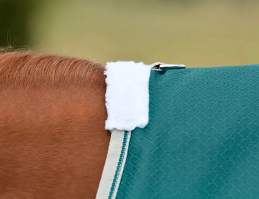 Weatherbeeta Teal Green/Stone/Teal Green Comfitec Plus Dynamic II Standard Neck Lite Turnout Rug| Online For Equine