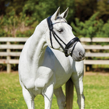 Weatherbeeta Therapy-Tec Anatomical Poll Pad| Online For Equine