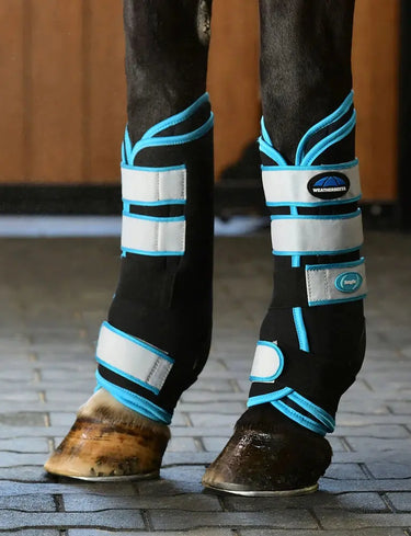 Weatherbeeta Therapy-Tec Stable Boot Wraps Black/Blue| Online For Equine