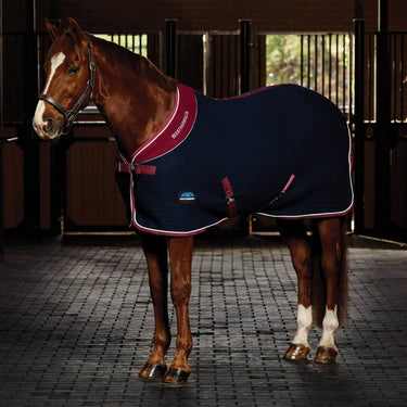 Weatherbeeta Thermocell Cooler Standard Neck| Online For Equine