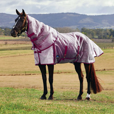 Weatherbeeta White/Burgundy Comfitec Ripshield Detach-A-Neck Fly Sheet| Online For Equine