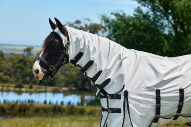 Weatherbeeta White/Charcoal Comfitec Sweet Itch Shield Fly Sheet Combo| Online For Equine