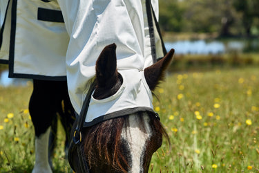 Weatherbeeta White/Charcoal Comfitec Sweet Itch Shield Fly Sheet Combo| Online For Equine