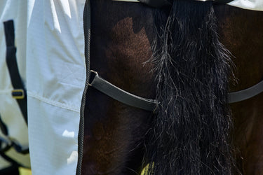 Weatherbeeta White/Charcoal Comfitec Sweet Itch Shield Fly Sheet Combo| Online For Equine