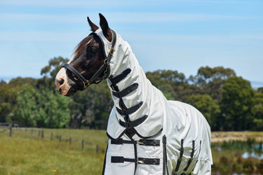 Weatherbeeta White/Charcoal Comfitec Sweet Itch Shield Fly Sheet Combo| Online For Equine