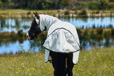 Weatherbeeta White/Charcoal Comfitec Sweet Itch Shield Fly Sheet Combo| Online For Equine