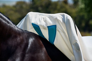 Weatherbeeta White/Charcoal Comfitec Sweet Itch Shield Fly Sheet Combo| Online For Equine