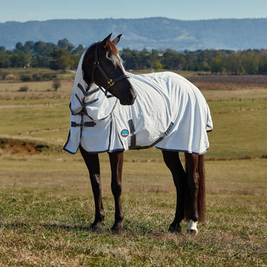 Weatherbeeta White/Charcoal Hybrid Sheet Combo| Online For Equine