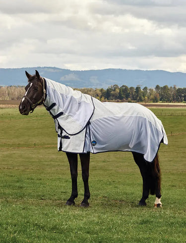 Weatherbeeta White/Navy Airstream Combo| Online For Equine